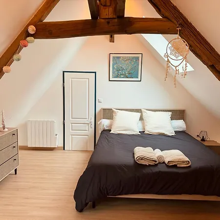 Secalonia - Duplex Cosy Apartment Salbris Exterior photo